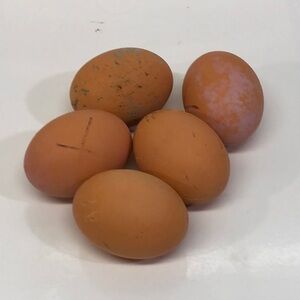 Fake Wooden Chicken Eggs (set of 5)